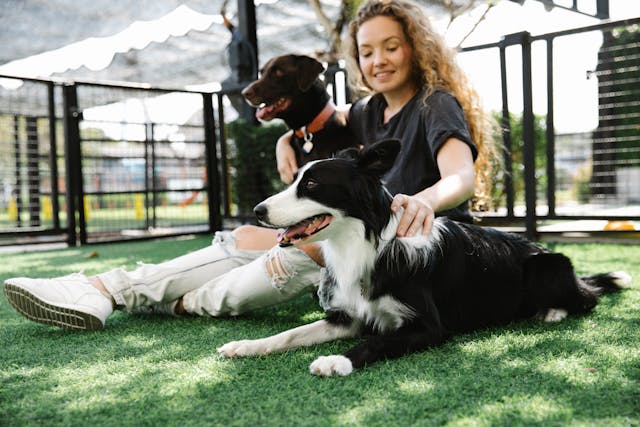 What Pet Daycare Businesses Can Learn From the Most Effective Home Services Marketing Strategies